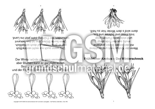 Faltbuch-Frühblüher Krokus – Der Winterschreck-SW.pdf